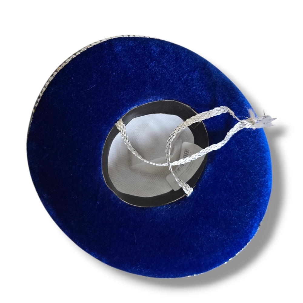 π Host Pick π Mexican Blue and Silver Small Dog Mini Sombrero - Picture 16 of 16